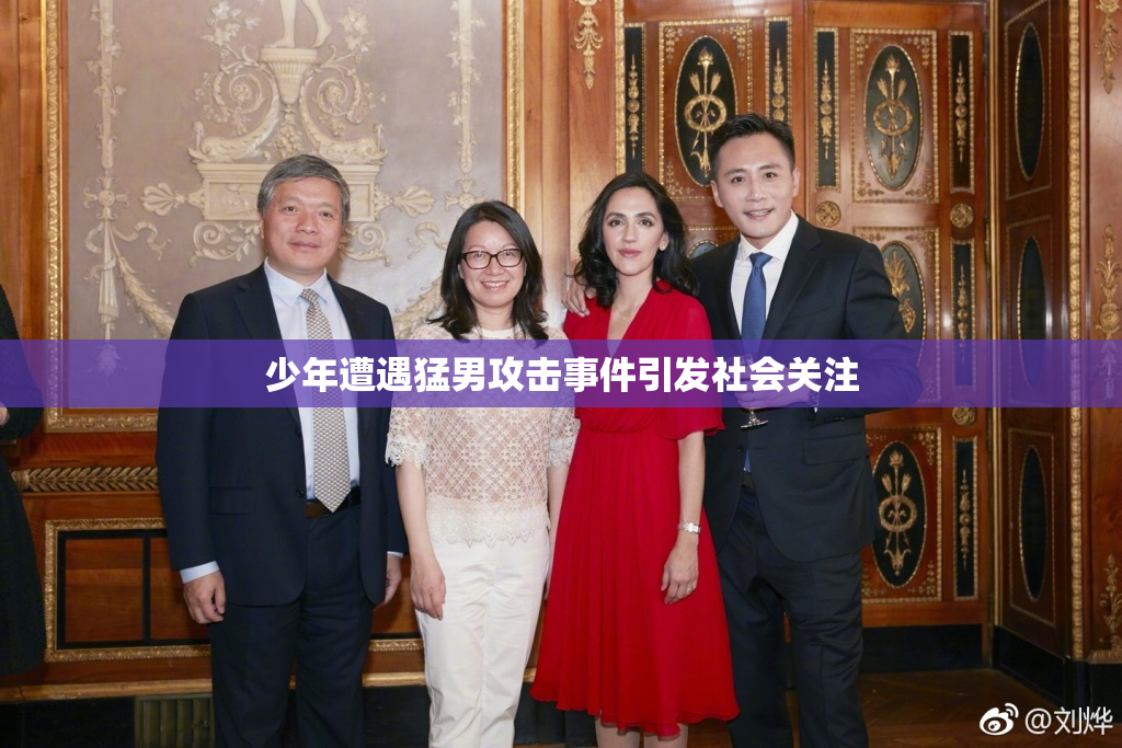 少年遭遇猛男攻击事件引发社会关注