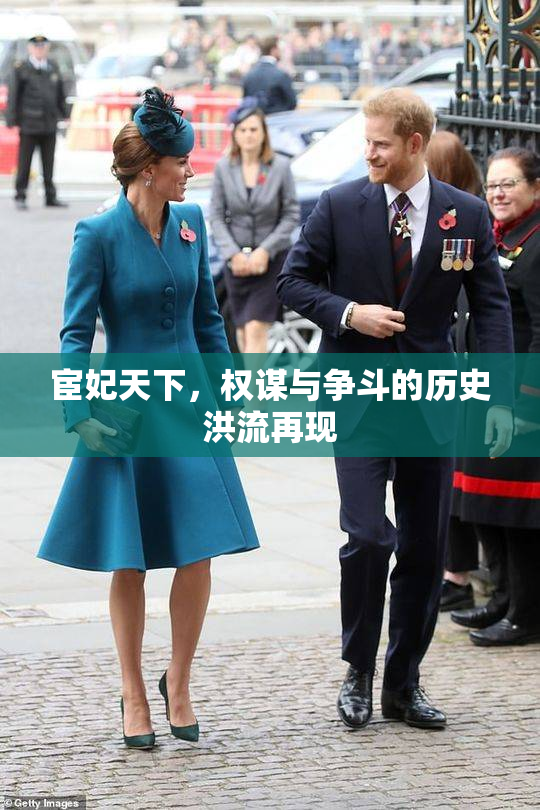 宦妃天下，权谋与争斗的历史洪流再现