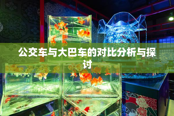 公交车与大巴车的对比分析与探讨