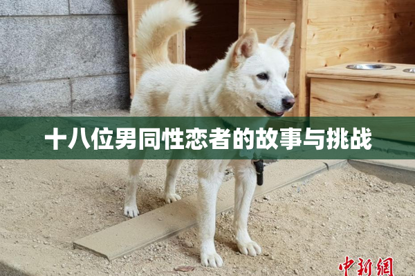 十八位男同性恋者的故事与挑战