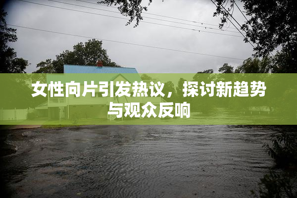 女性向片引发热议，探讨新趋势与观众反响