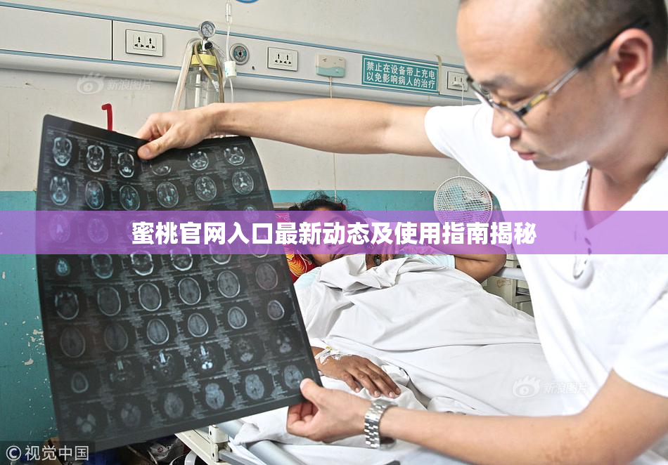 蜜桃官网入口最新动态及使用指南揭秘