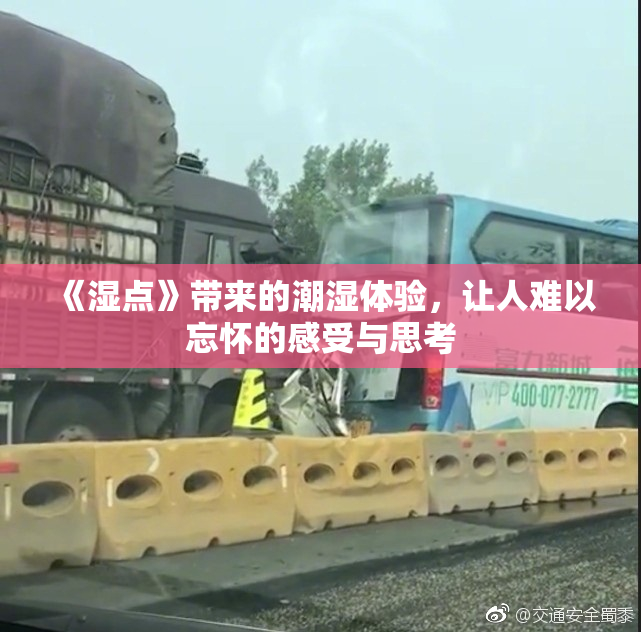 《湿点》带来的潮湿体验，让人难以忘怀的感受与思考