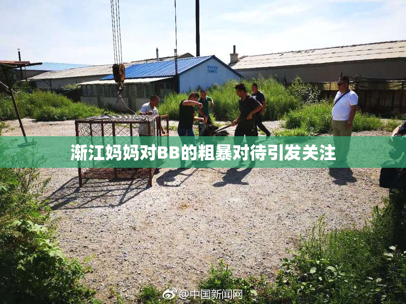 渐江妈妈对BB的粗暴对待引发关注