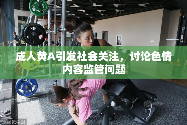 成人黄A引发社会关注，讨论色情内容监管问题