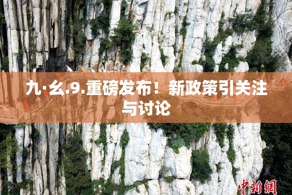 九·幺.9.重磅发布！新政策引关注与讨论