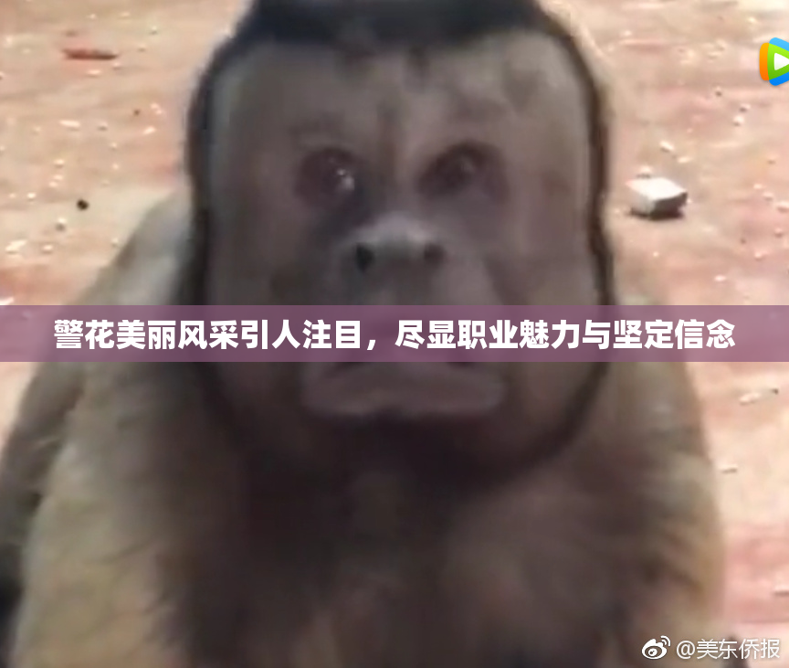 警花美丽风采引人注目，尽显职业魅力与坚定信念