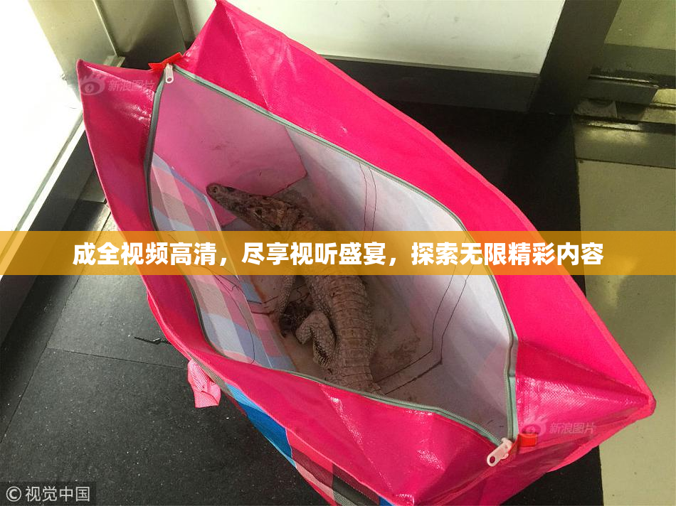 成全视频高清，尽享视听盛宴，探索无限精彩内容