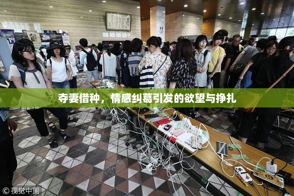 夺妻借种，情感纠葛引发的欲望与挣扎