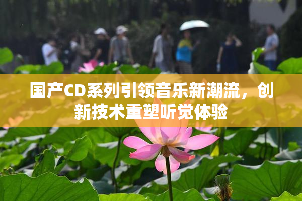 国产CD系列引领音乐新潮流，创新技术重塑听觉体验