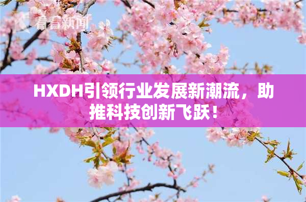 HXDH引领行业发展新潮流，助推科技创新飞跃！