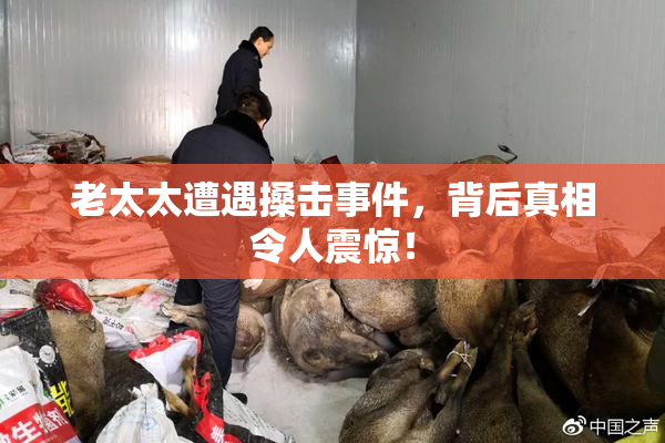 老太太遭遇搡击事件，背后真相令人震惊！
