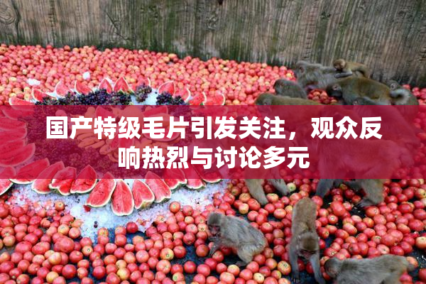 国产特级毛片引发关注，观众反响热烈与讨论多元