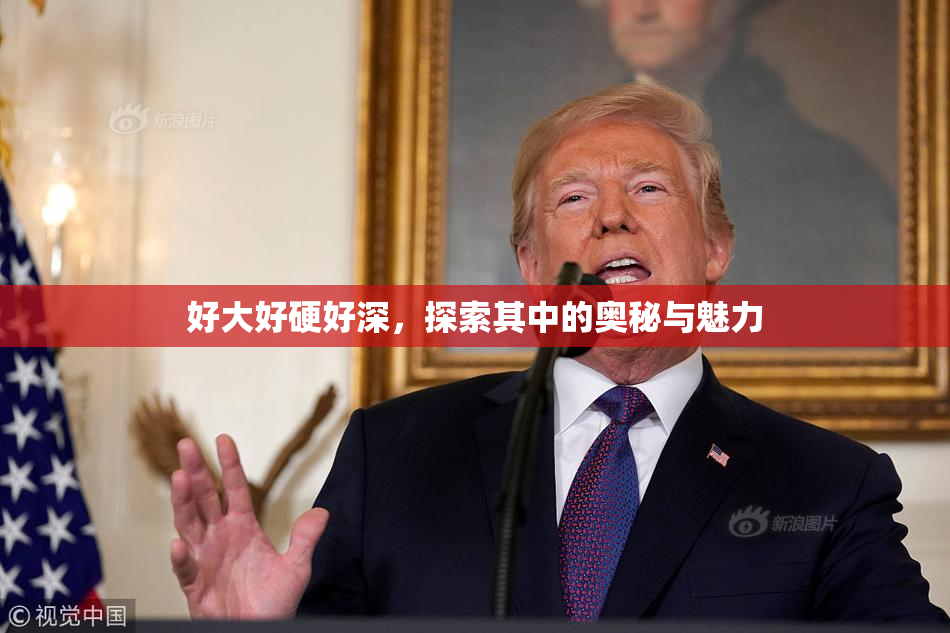 好大好硬好深，探索其中的奥秘与魅力