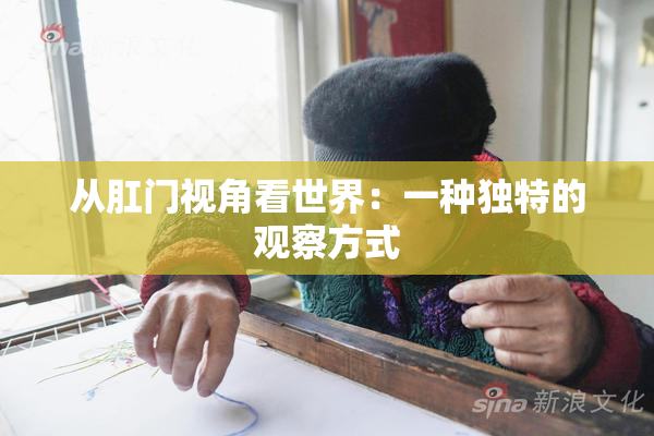 从肛门视角看世界：一种独特的观察方式
