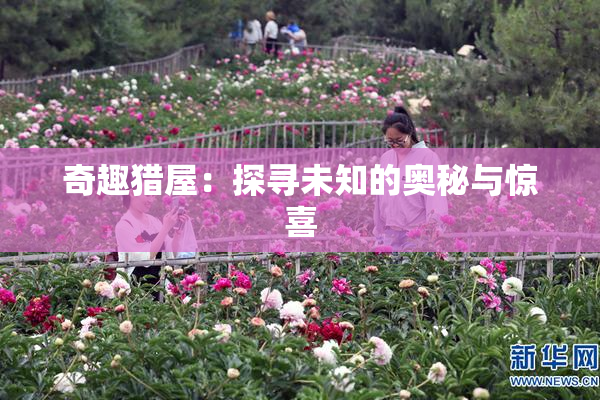 奇趣猎屋：探寻未知的奥秘与惊喜