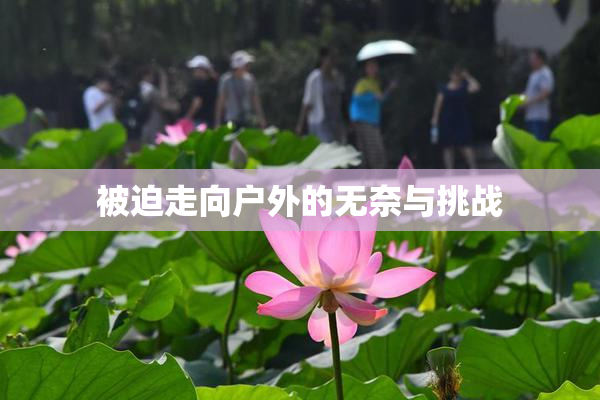 被迫走向户外的无奈与挑战