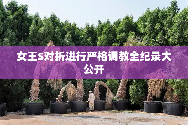 女王S对折进行严格调教全纪录大公开