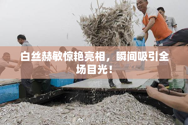 白丝赫敏惊艳亮相，瞬间吸引全场目光！