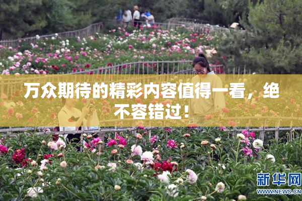 万众期待的精彩内容值得一看，绝不容错过！