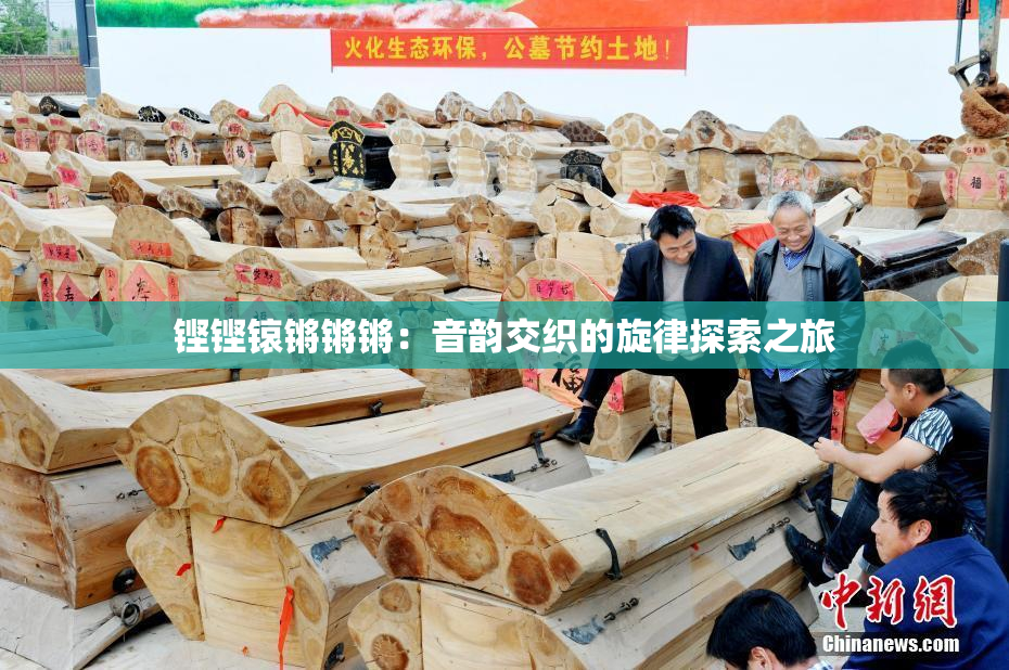 铿铿锿锵锵锵：音韵交织的旋律探索之旅