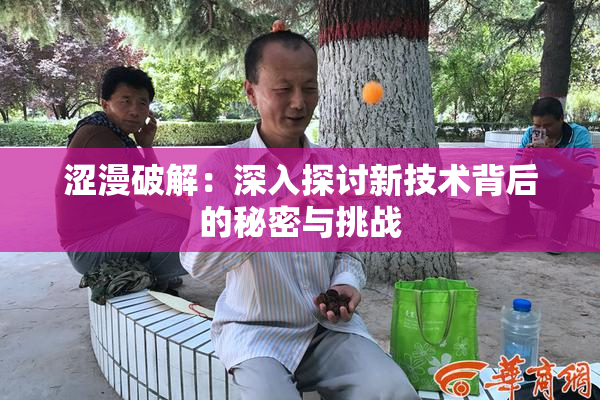 涩漫破解：深入探讨新技术背后的秘密与挑战