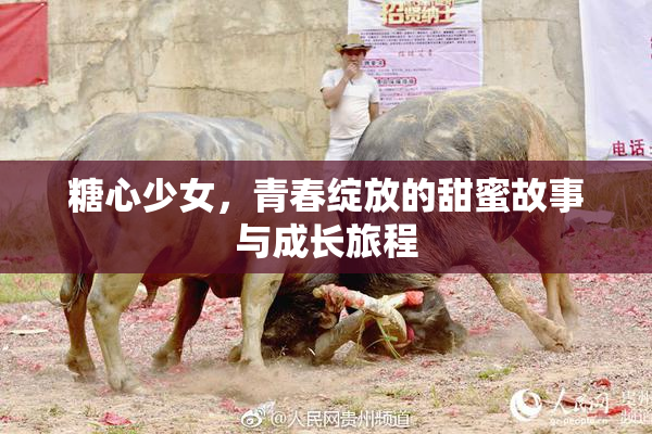 糖心少女，青春绽放的甜蜜故事与成长旅程