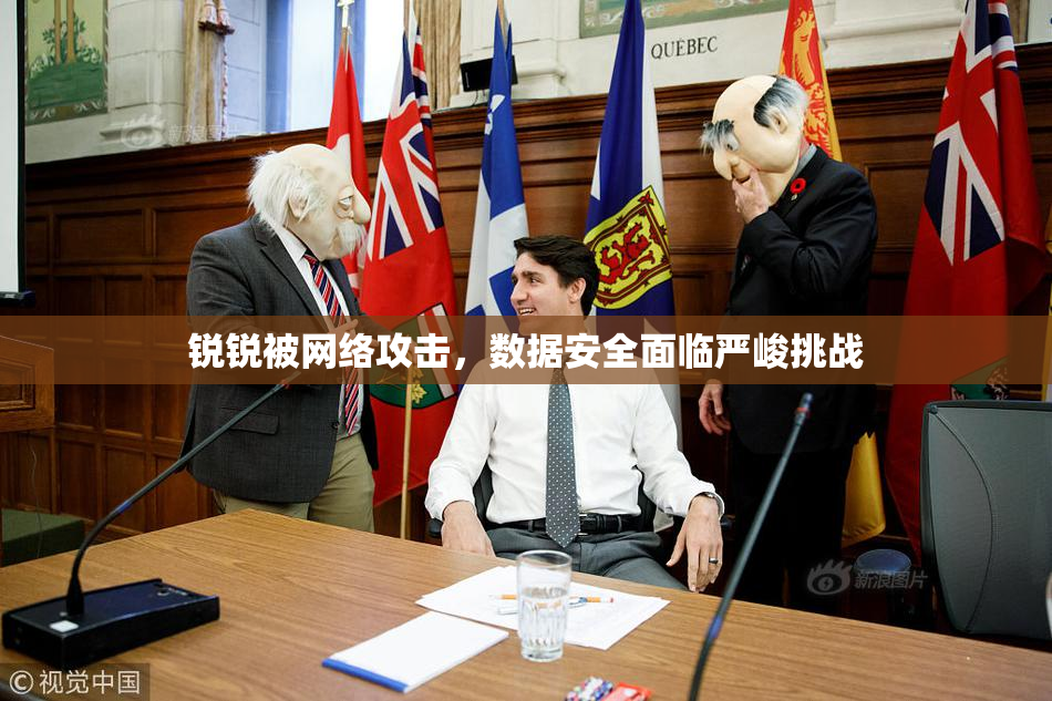 锐锐被网络攻击，数据安全面临严峻挑战