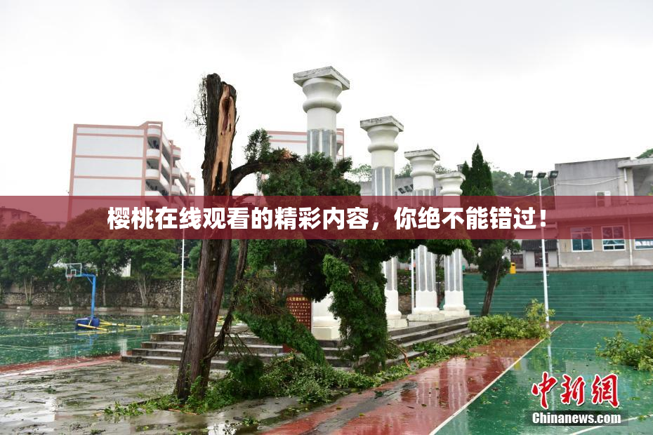 樱桃在线观看的精彩内容，你绝不能错过！