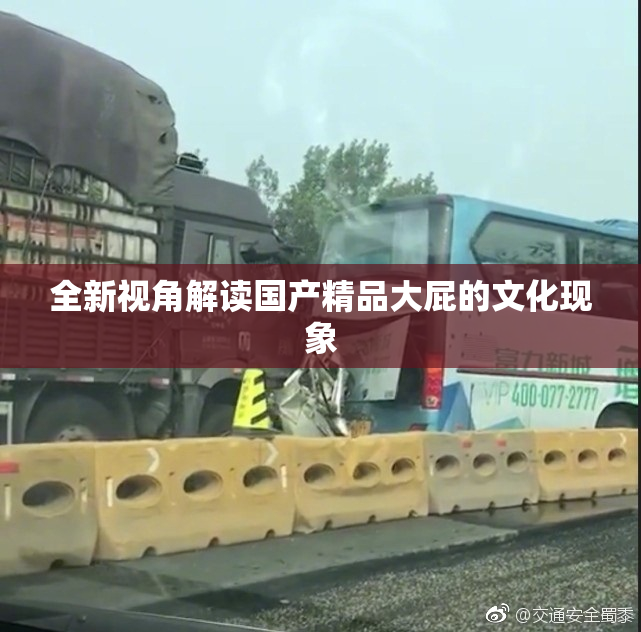 全新视角解读国产精品大屁的文化现象