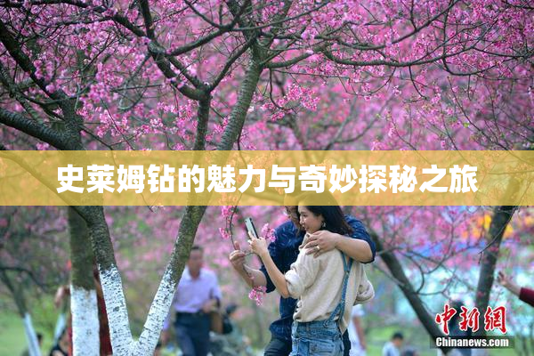 史莱姆钻的魅力与奇妙探秘之旅