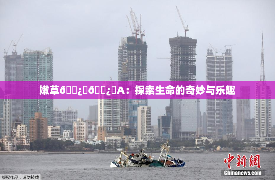 嫩草🌿‌🌿‌A：探索生命的奇妙与乐趣