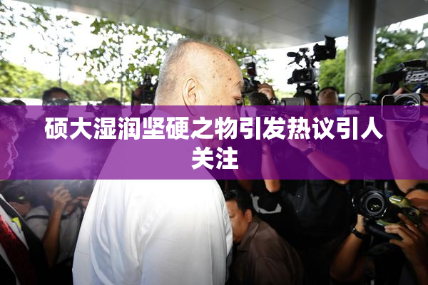 硕大湿润坚硬之物引发热议引人关注