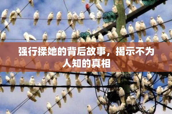 强行揉她的背后故事，揭示不为人知的真相