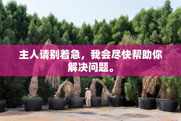 主人请别着急，我会尽快帮助你解决问题。