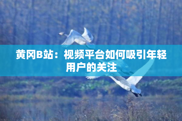 黄冈B站：视频平台如何吸引年轻用户的关注