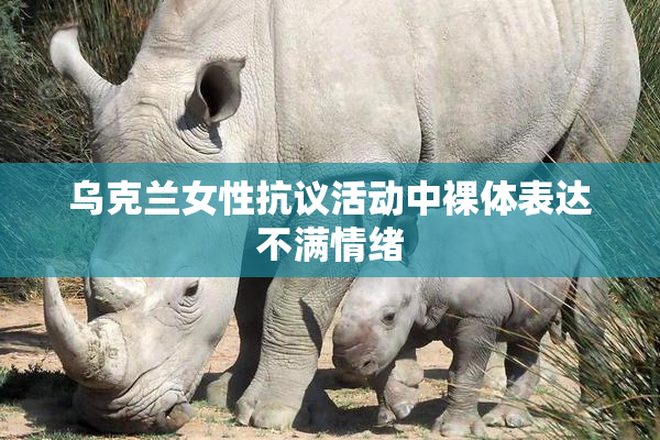 乌克兰女性抗议活动中裸体表达不满情绪