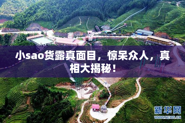 小sao货露真面目，惊呆众人，真相大揭秘！