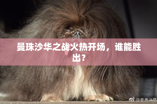 曼珠沙华之战火热开场，谁能胜出？