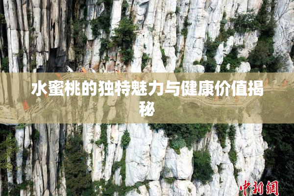 水蜜桃的独特魅力与健康价值揭秘