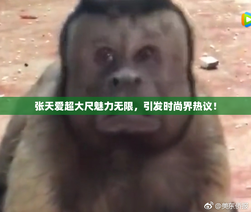 张天爱超大尺魅力无限，引发时尚界热议！