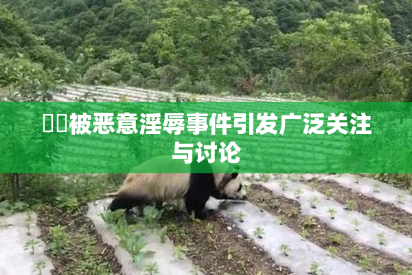 妺妺被恶意淫辱事件引发广泛关注与讨论