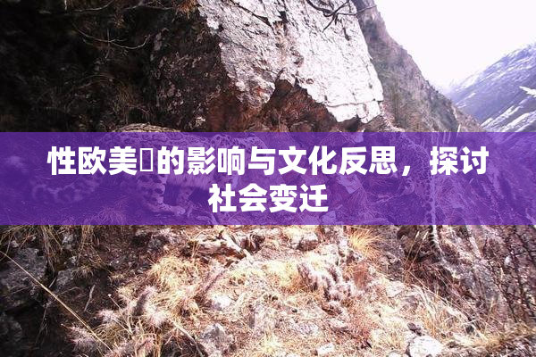 性欧美婬的影响与文化反思，探讨社会变迁