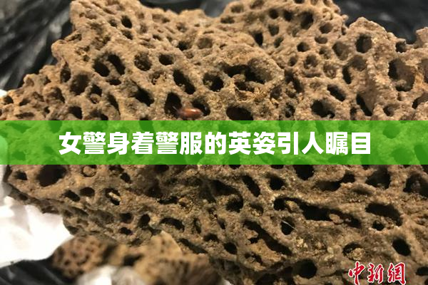 女警身着警服的英姿引人瞩目
