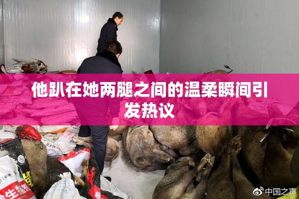 他趴在她两腿之间的温柔瞬间引发热议