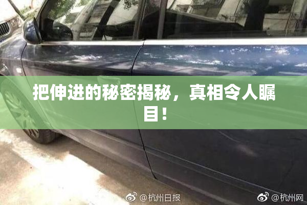 把伸进的秘密揭秘，真相令人瞩目！