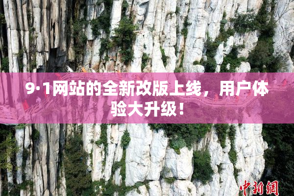 9·1网站的全新改版上线，用户体验大升级！