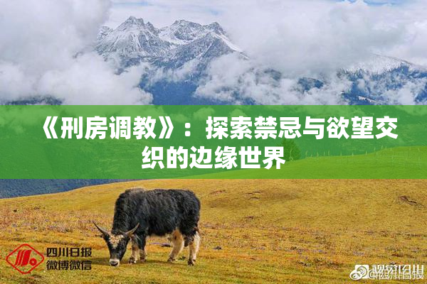 《刑房调教》：探索禁忌与欲望交织的边缘世界