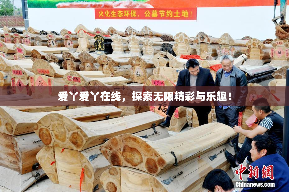 爱丫爱丫在线，探索无限精彩与乐趣！