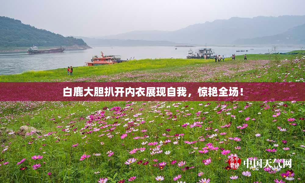 白鹿大胆扒开内衣展现自我，惊艳全场！